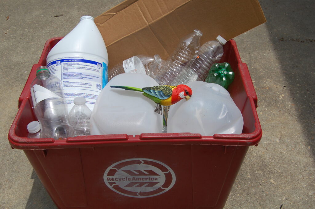 Dubai single-use plastic ban featured image