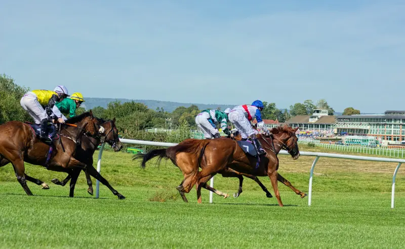 Dubai World Cup nominations featured image