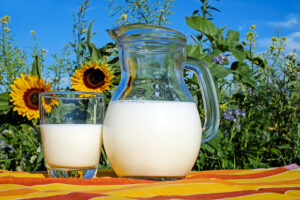 UAE Pasteurised camel milk featured image